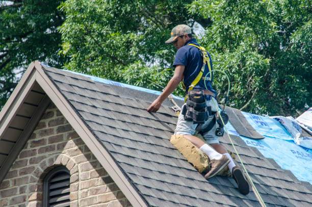 Best Flat Roof Repair Services  in Upland, IN